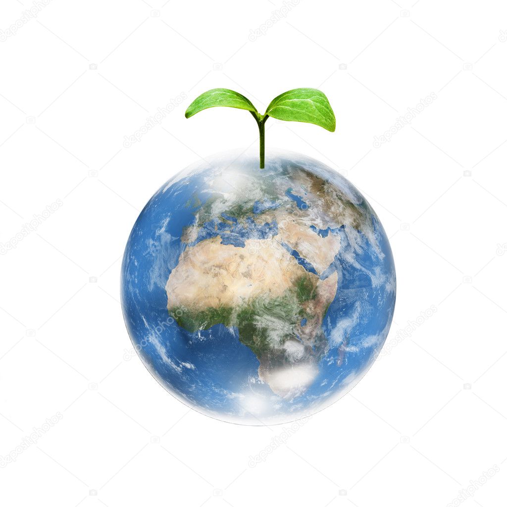 Green plant on earth — Stock Photo © Yuichiro 7109412