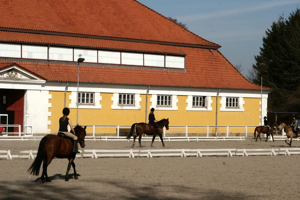Danish horse farm