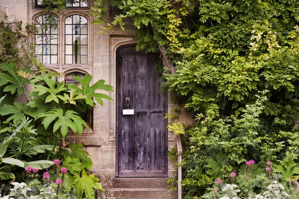 Wooden front door of old stone brick house covered in ivy and pl