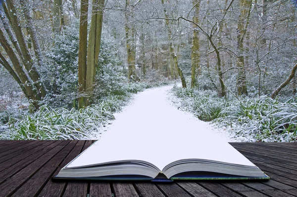 Creative concept idea of Winter landscape coming out of pages in