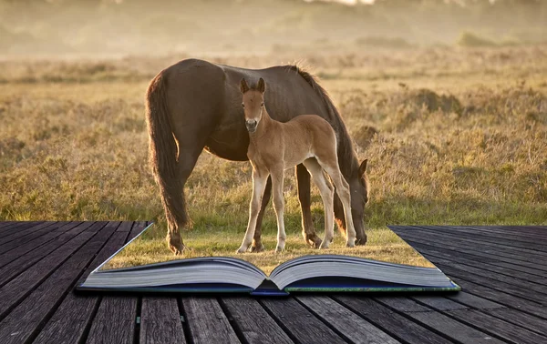 Creative concept image of ponies in magical book