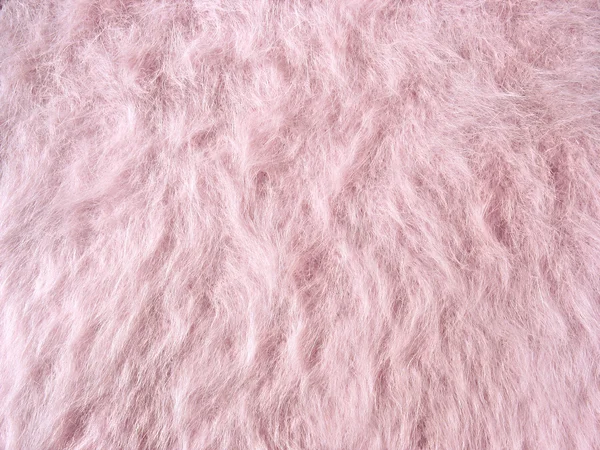 pink angora