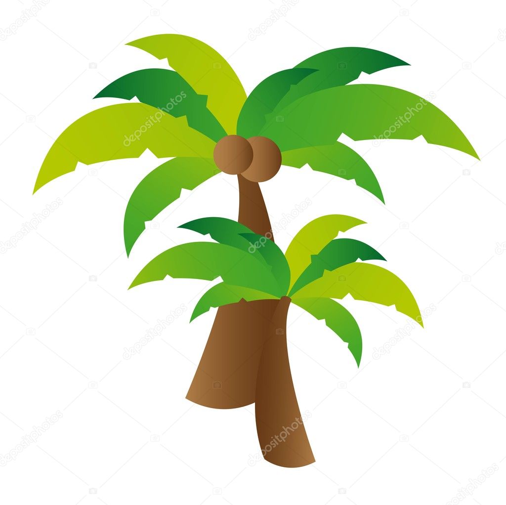 palm tree vector