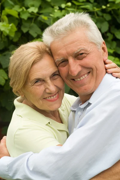 Old couple at nature — Stock Photo #6938664