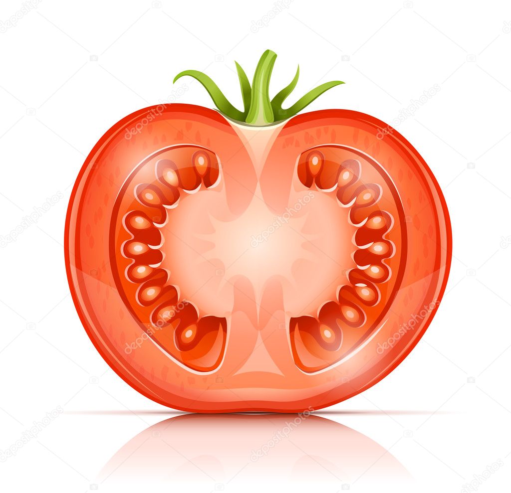 Tomato Vector Free