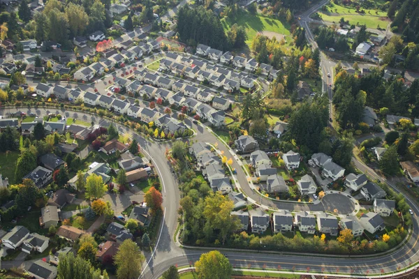 Aerial View of Bright Suburban Neighborhood