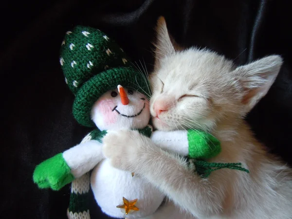 Kitten cuddling with snowman toy