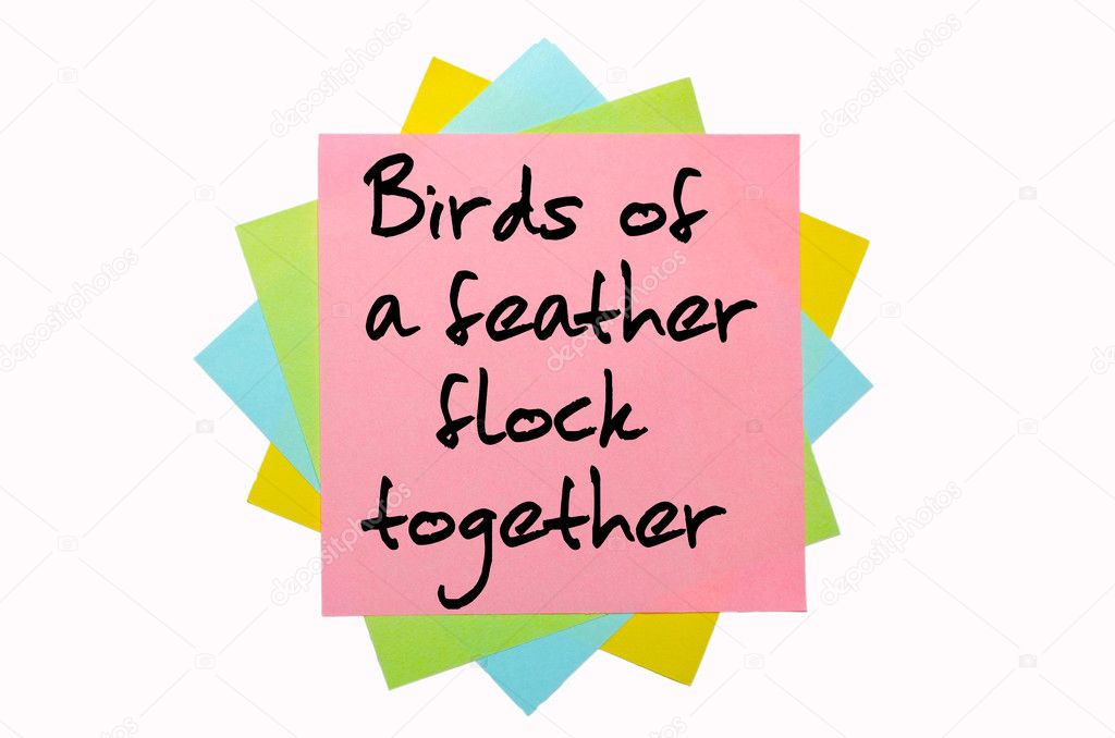 free-essays-on-essay-on-birds-of-feather-flock-together