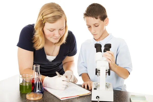 Young Scientists in Lab