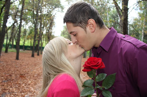 kissing rose
