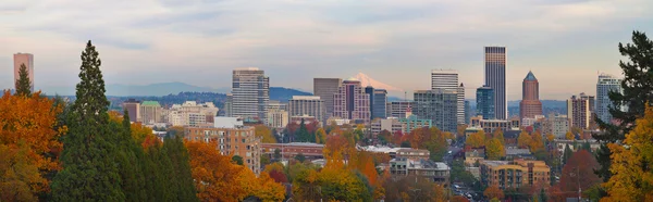 Portland Oregon City Skyline and Mount Hood