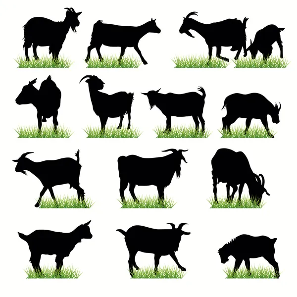 dep_6814949-14-Goats-silhouettes-set.jpg