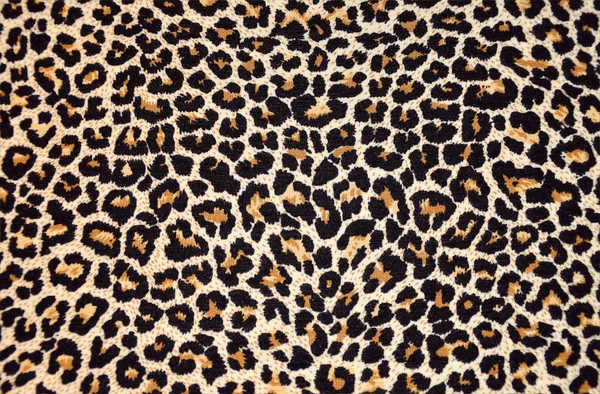 Abstract texture of leopard fur (skin)