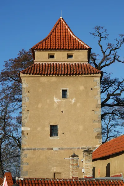Czech Budejovice