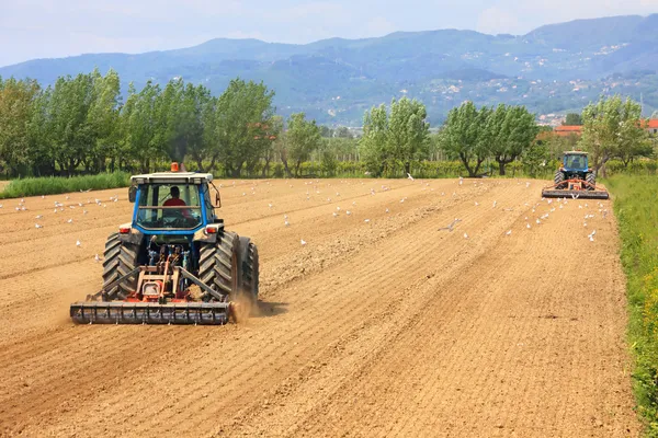 Two tractors farming in field