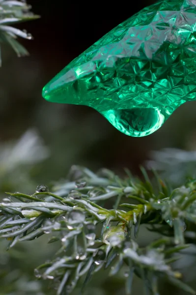 Single green Christmas light and foliage