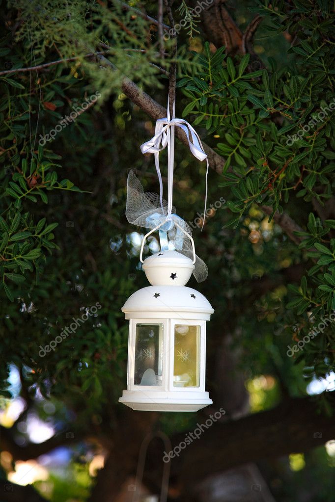 White lantern decorates a tree on a wedding