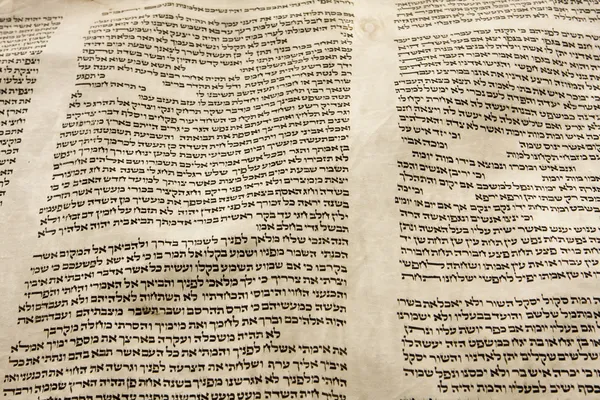 Torah Scroll Parchment