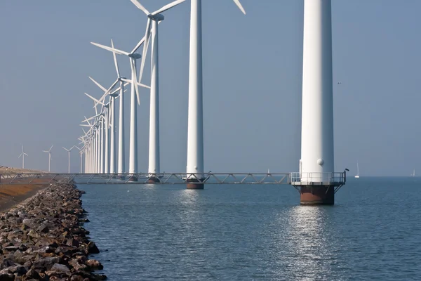 Row of windmills standing in Dutch sea