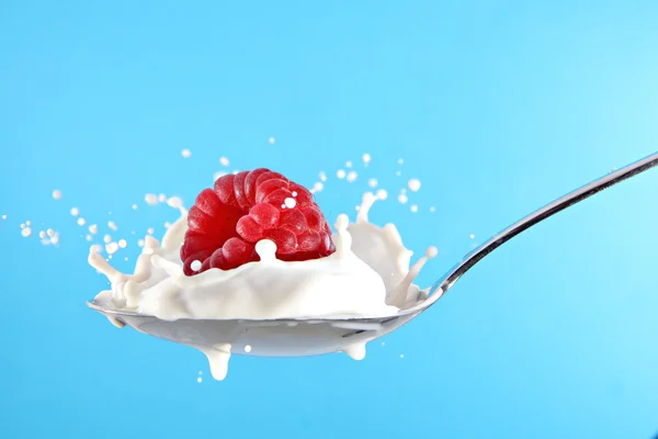 Raspberry splashing in milk or yogurt