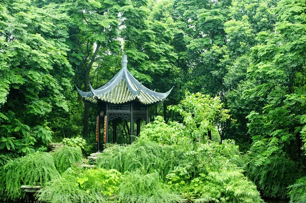 Pavilion in the dense woods