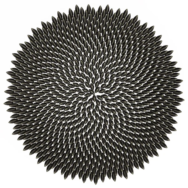 Fibonacci Sunflower Seeds
