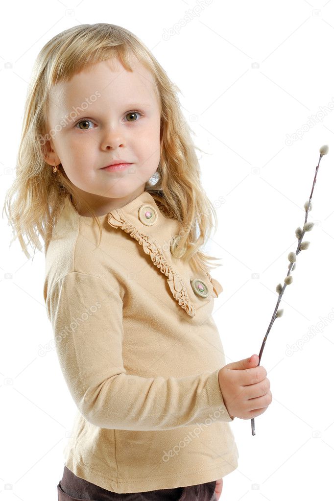 Pussy willow in the hands of a girl on a white background