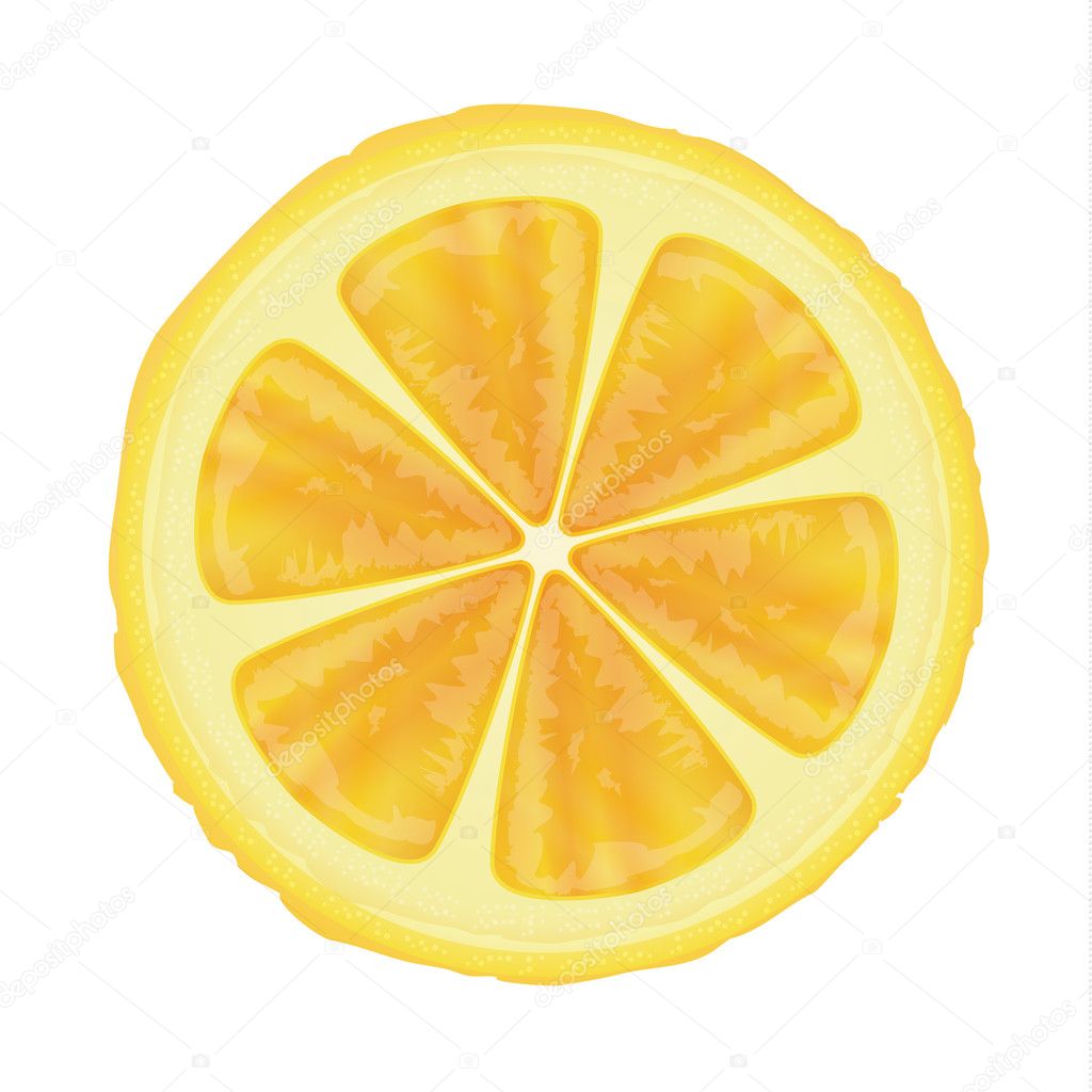 Lemon Slice