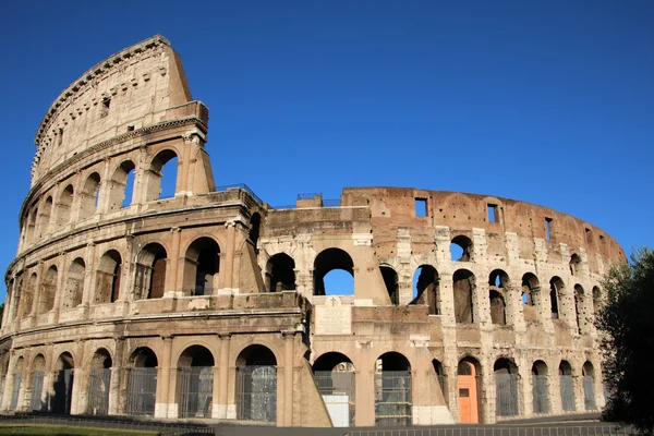 coliseum in rome