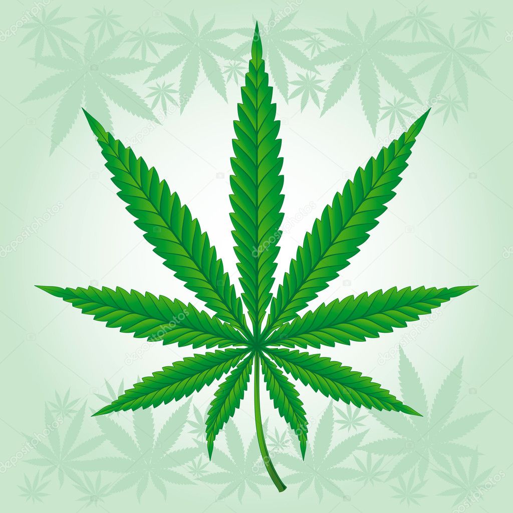 depositphotos_7658251-Cannabis--Marijuan
