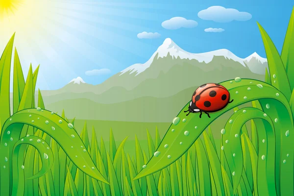 Grassfield landscape with ladybug, dew drops and mountains.