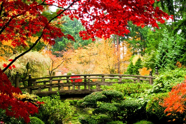 Bridge in a Garden