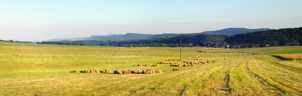 Agricultural panorama in the hills