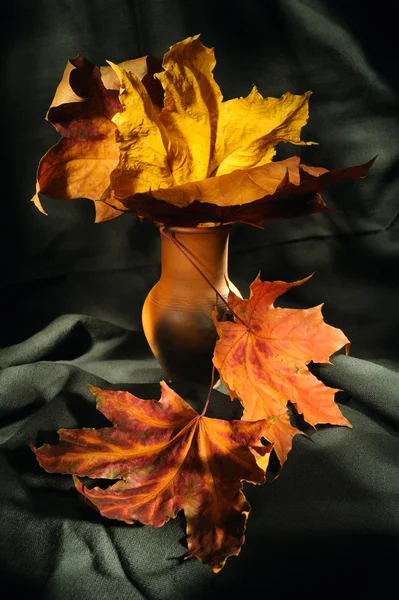 Still life with autumn leaves — Stock Photo, Image