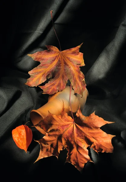 Still life with autumn leaves and phisalis — Stock Photo, Image