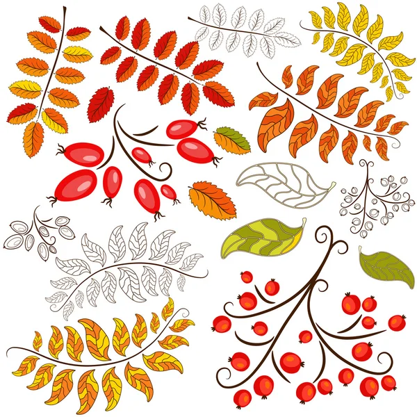 stock vector Collection abstract autumn element