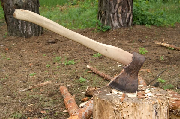 Axe in stump in the clearing in woods — Stock Photo, Image