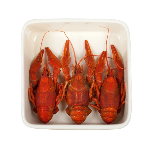 Tres cangrejos cocidos en plato de cerámica —  Fotos de Stock