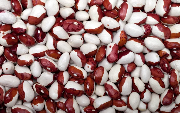 stock image Haricot beans background