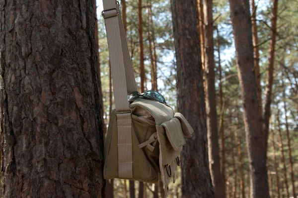 Shoulder bag hanging on pine tree — Stock Photo, Image