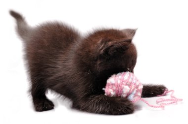 Kitten playing with a wool ball clipart