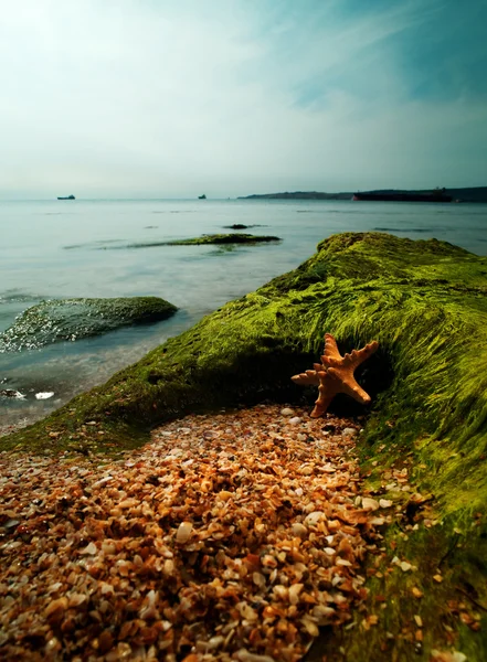 Deniz yaz saati — Stok fotoğraf