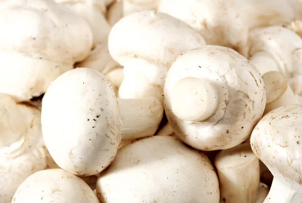 stock image Raw fresh mushrooms backgrounds