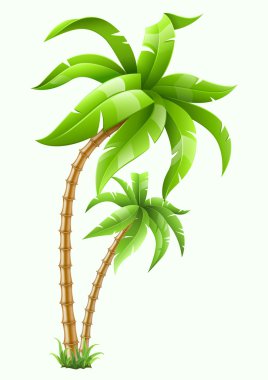 Tropical palm trees clipart