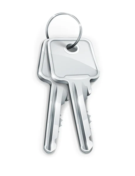 Covone di chiavi d'argento — Vettoriale Stock