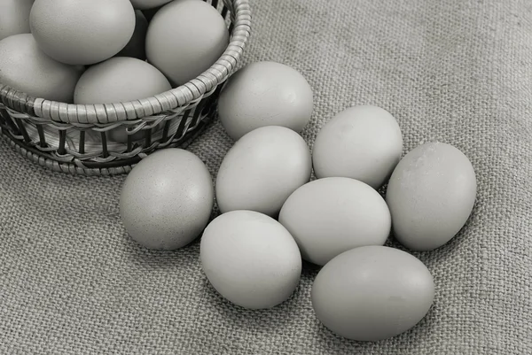Eggs of brown color in cardboard cells — Stock Photo, Image