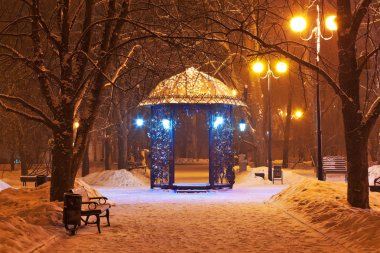 Decorated winter city park at night clipart