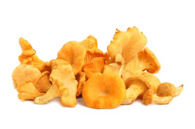 chanterelles demet