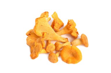 chanterelles demet