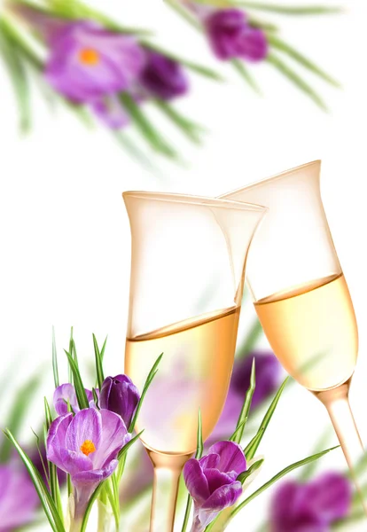 stock image Decoration from crocuses and champagne flutes